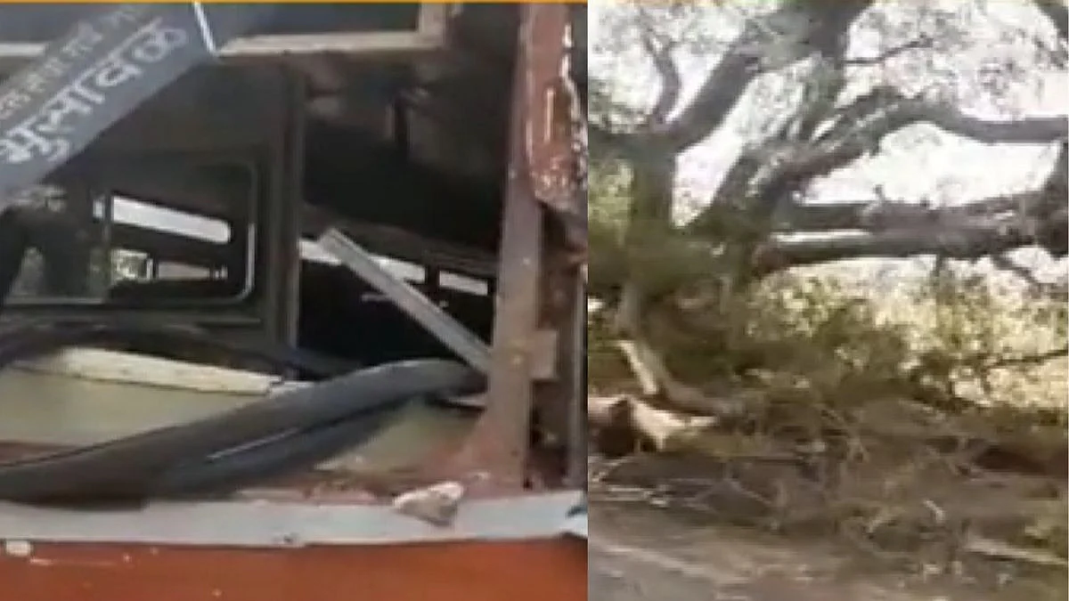 धावत्या बसवर कोसळले झाड; बारा प्रवासी जखमी