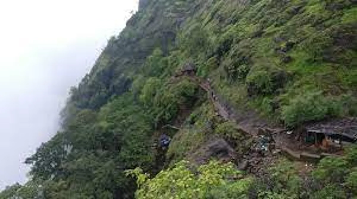 रायगडच्या घोणसे घाटात बस दरीत कोसळली; तिघांचा मृत्यू, ३४ जण जखमी