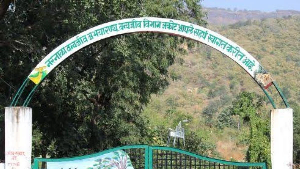जंगल सफारीसाठी फिरायला आलेल्या पर्यटकाचा मृत्यू