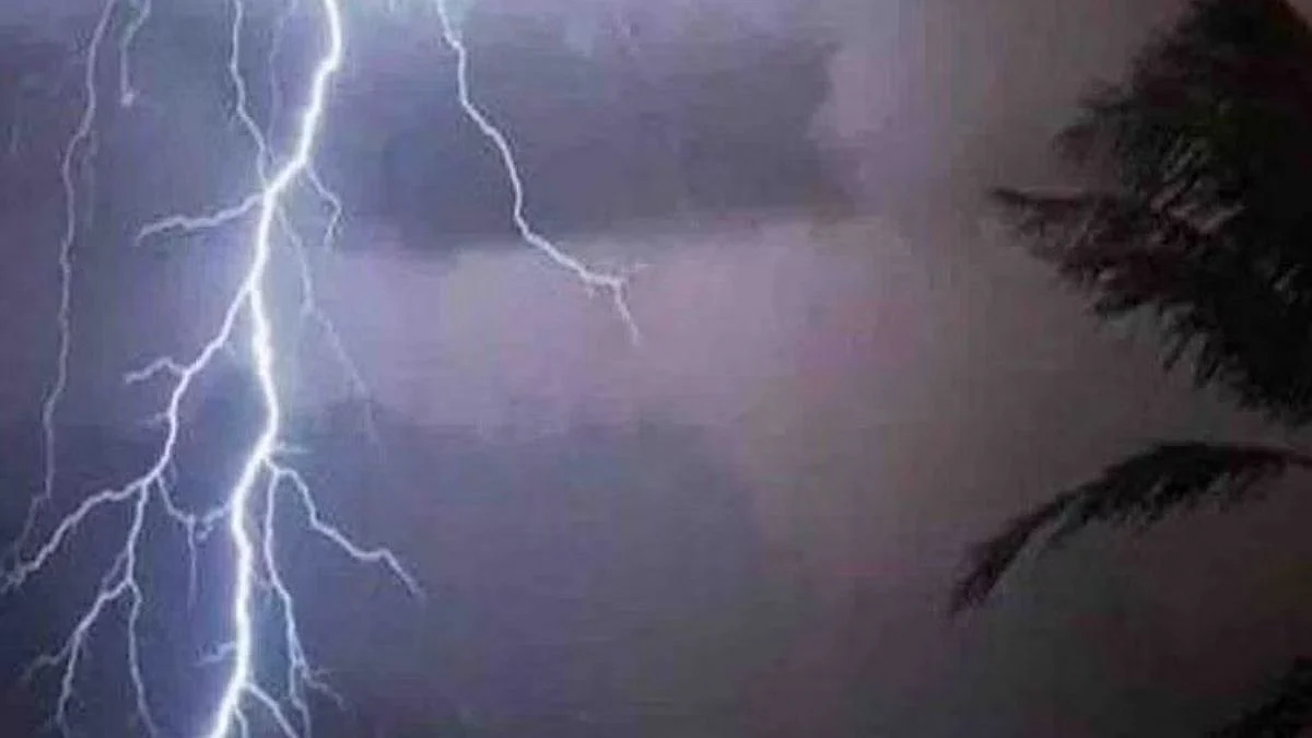 दोंदवाडा शेत शिवारात वीज पडून एकाचा मृत्यू, तर एक जण जखमी...