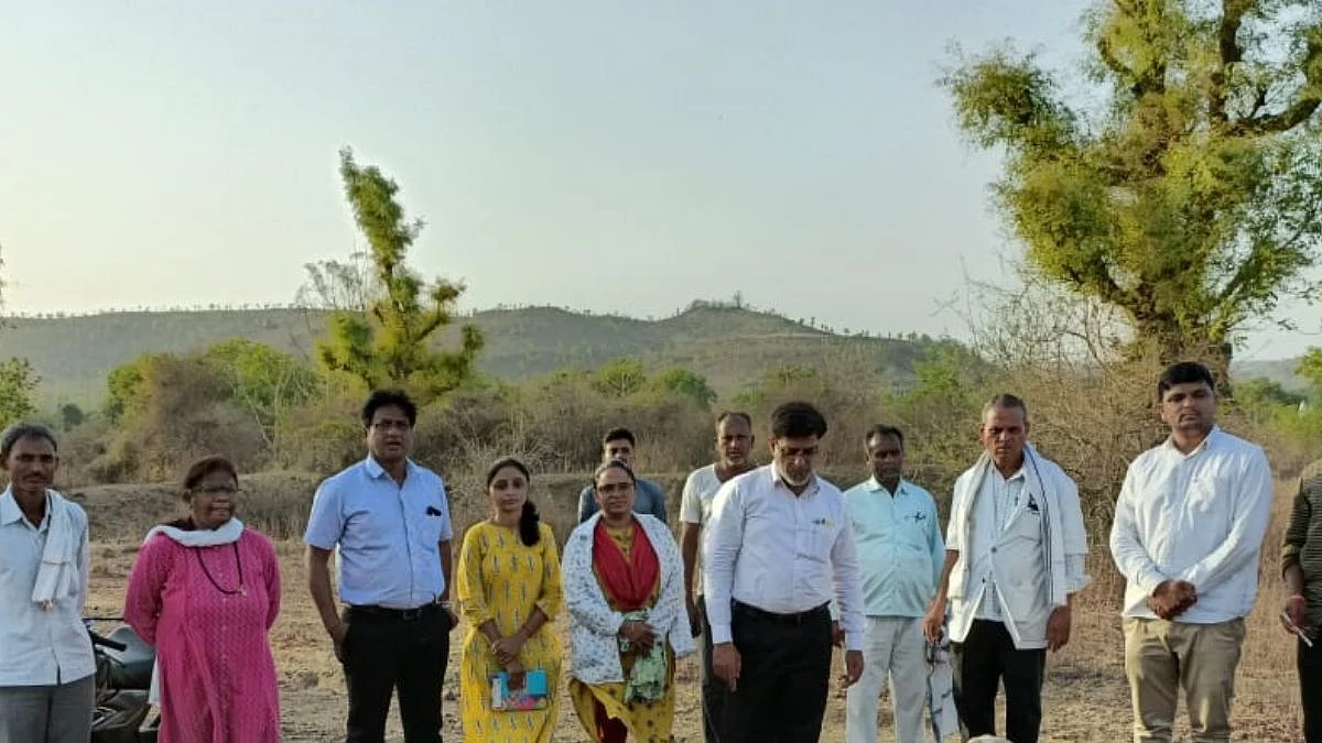 विषबाधेमुळे 12 गाईंचा मृत्यू? मेहकर तालुक्यातील घटना