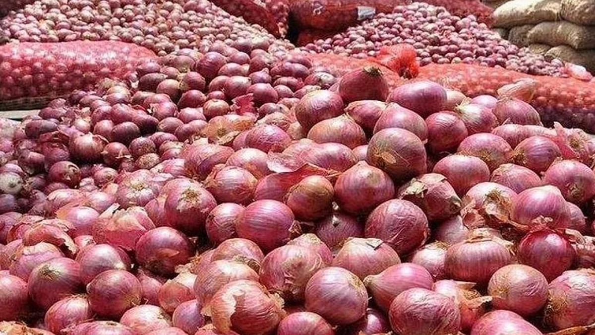 ...अन् शेतकऱ्याने रागाच्या भरात चक्क जनावरांना खाऊ घातला २० टन कांदा