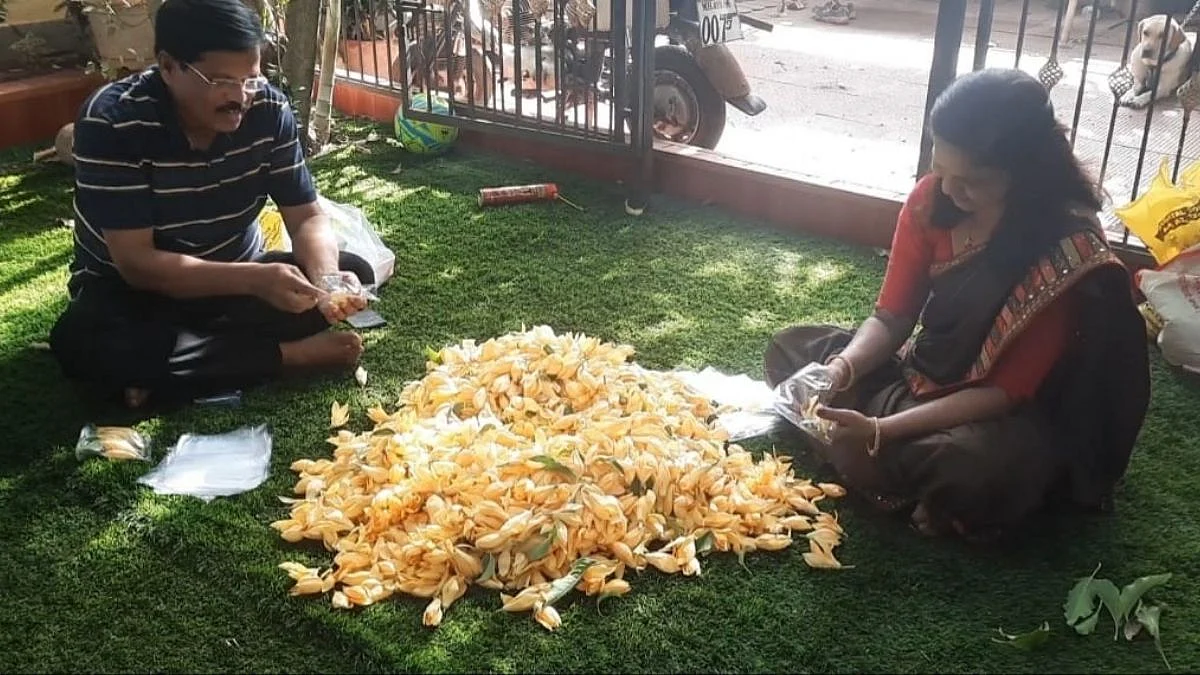 पारंपरिक शेतीला फाटा देत मावळ मध्ये फुलतीये सोनचाफयाची शेती...