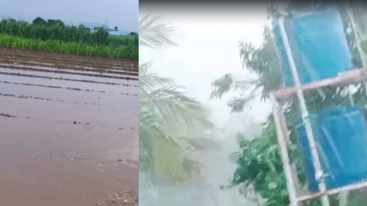 राज्यात ठिकठिकाणी तुरळक पाऊस; महाराष्ट्रात कधी बरसणार मान्सून?