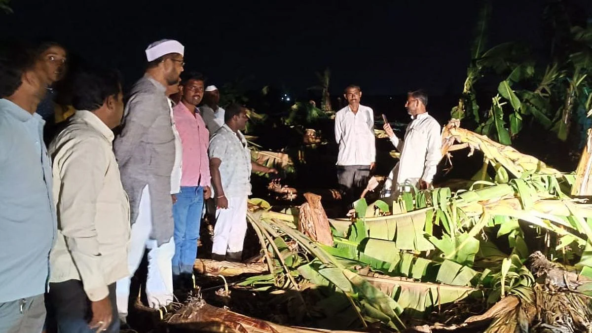 हजारो हेक्टर केळीची शेती भुईसपाट; सदाभाऊ खोतांनी शेतक-यांना दिला दिलासा