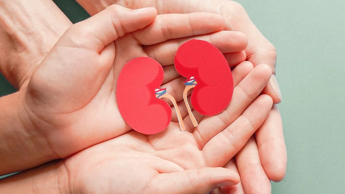 Kidney health tips, Tips, Health issue