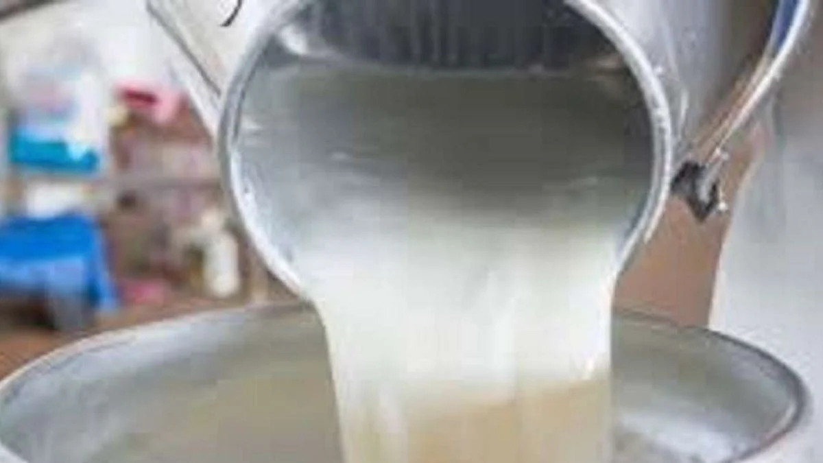 Goul Milk Latest News