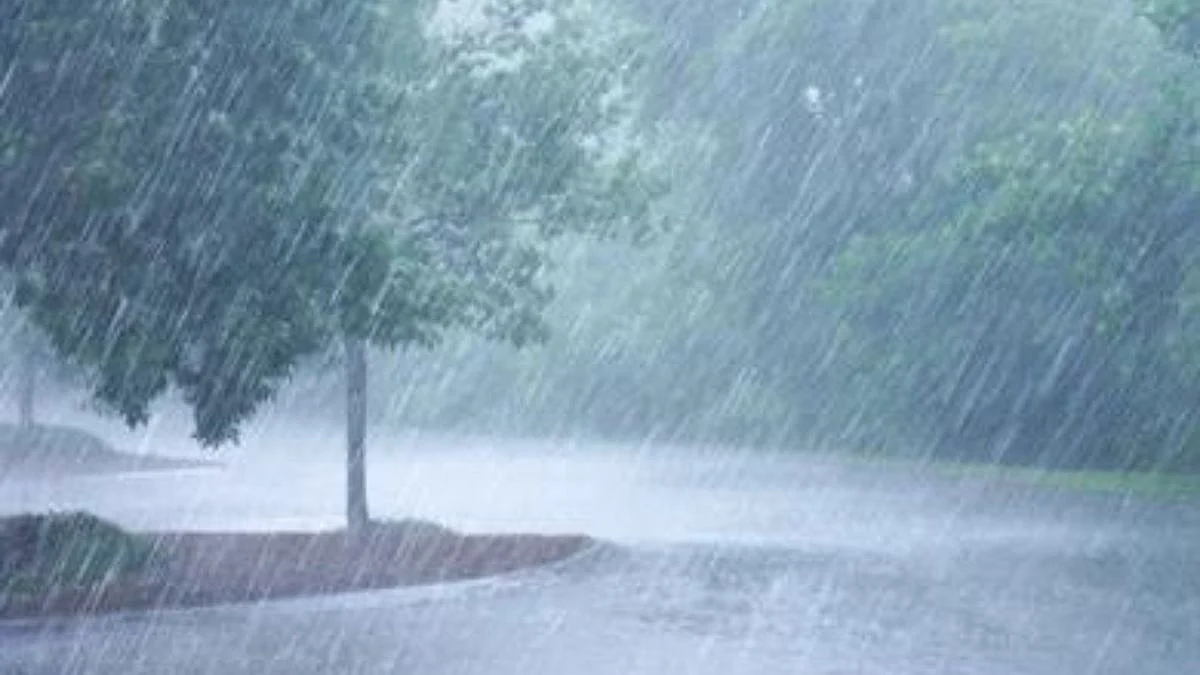 Rain