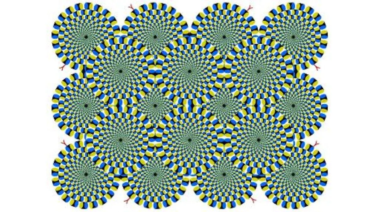 Optical Illusion for Personality Test
