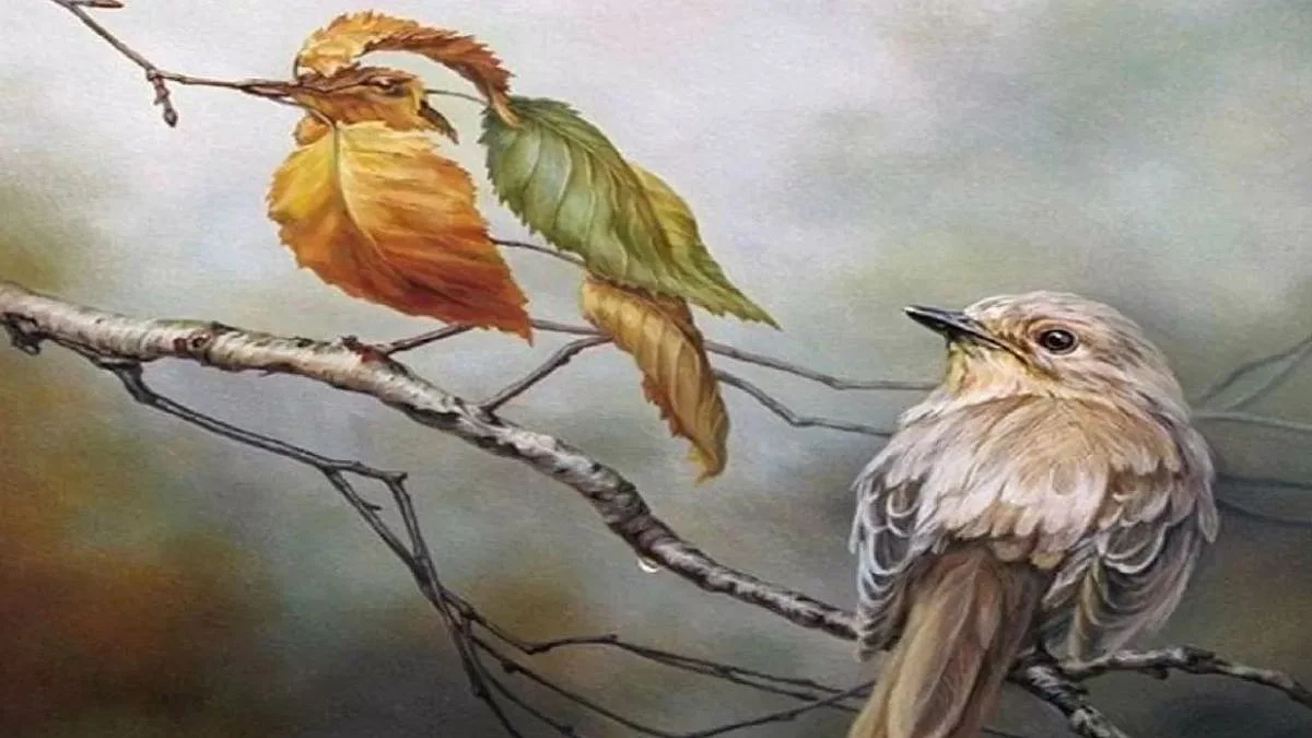 Optical Illusion Bird or Man Image