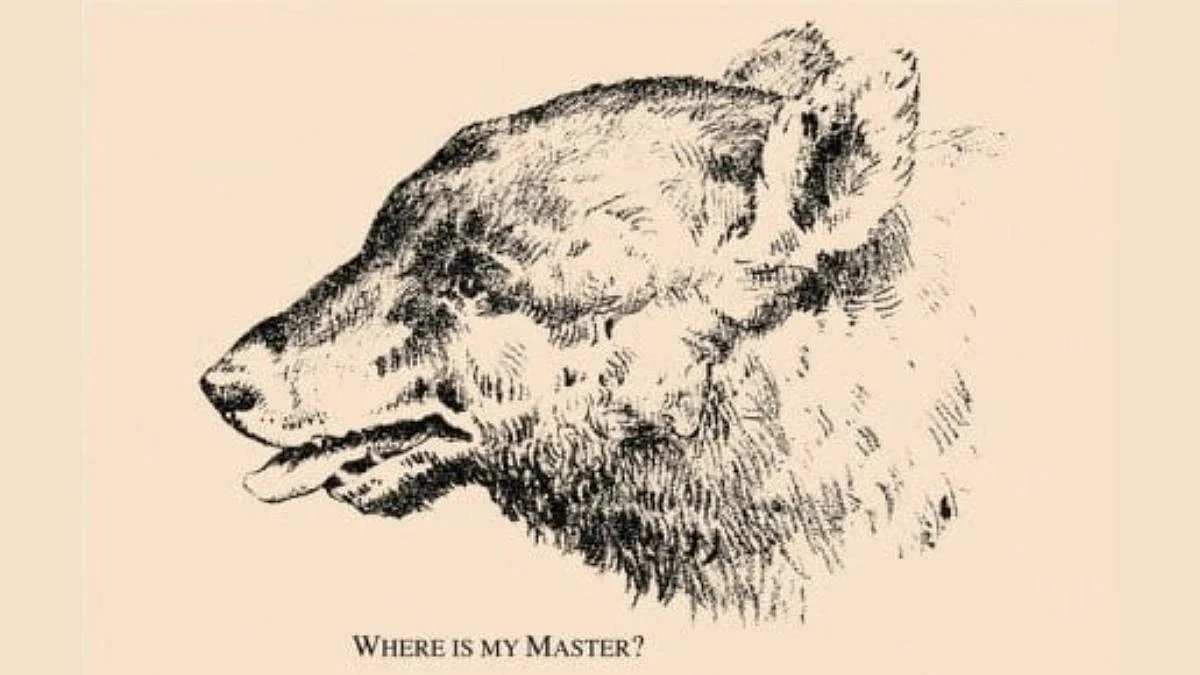 Where is My Master ?