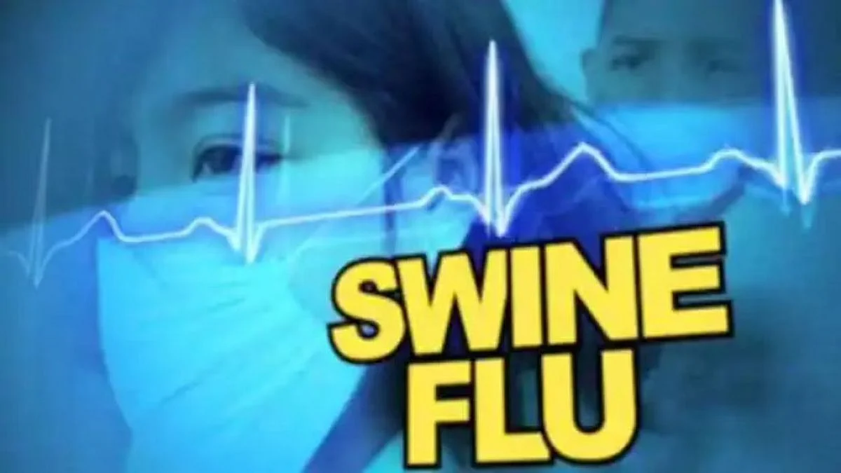 Swine flue news