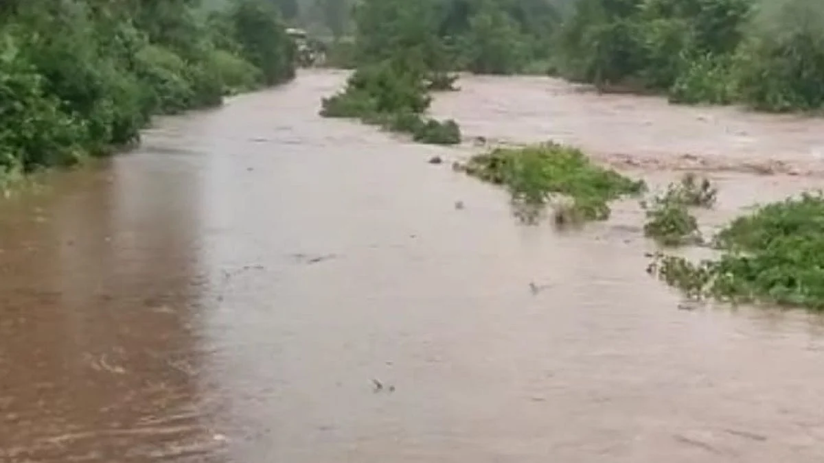 buldhana, chikhali, rain, farm