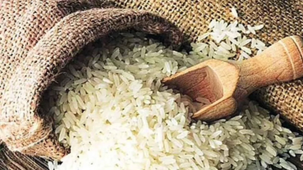 Rice news