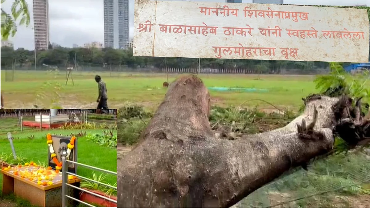 Shivaji Park Balasaheb Thackeray