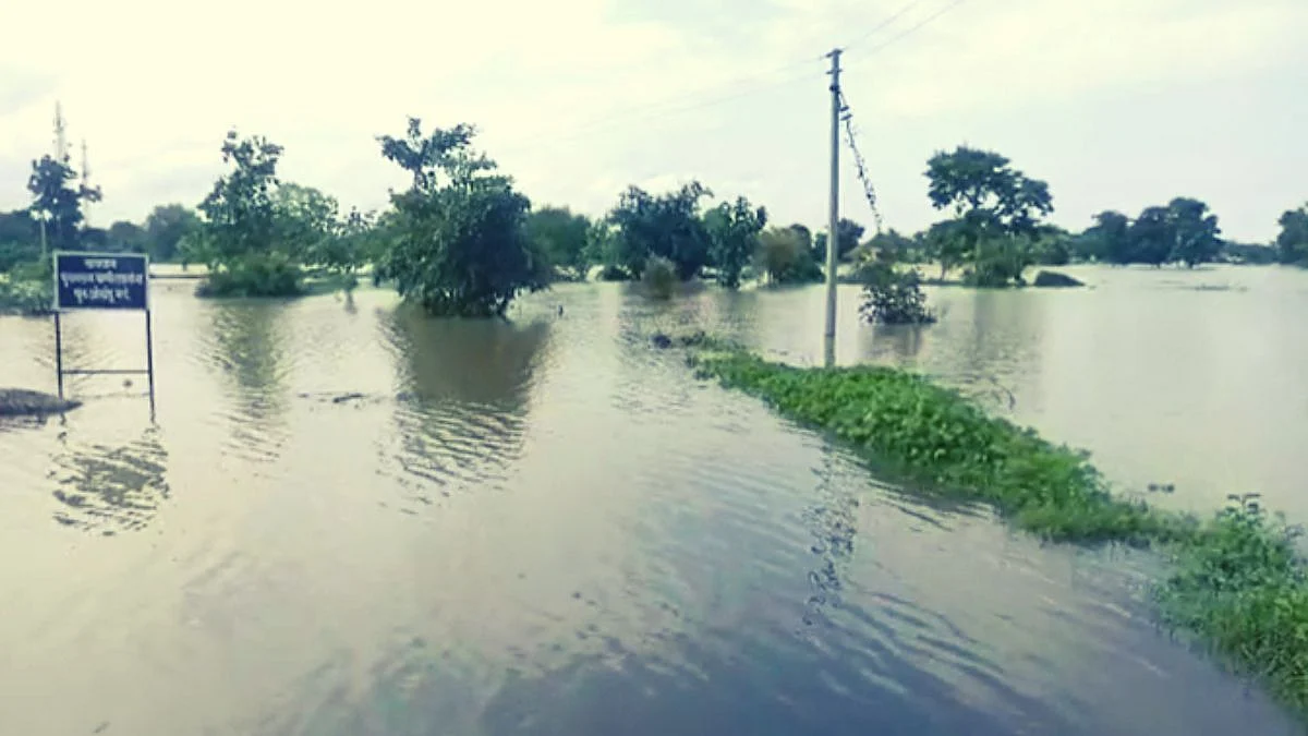 Bhandara Rain News