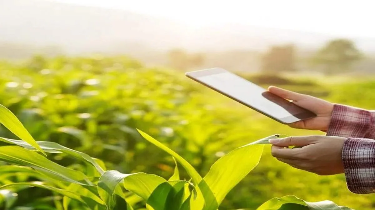 Jalgaon News E Crop Survey