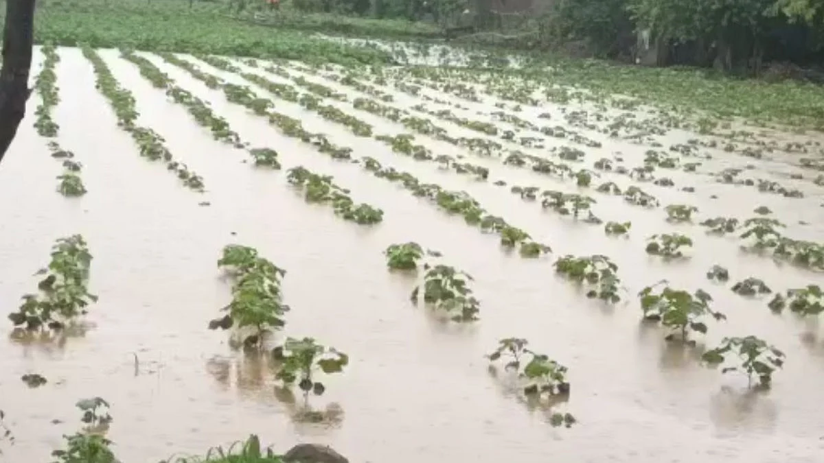 Maharashtra Rain