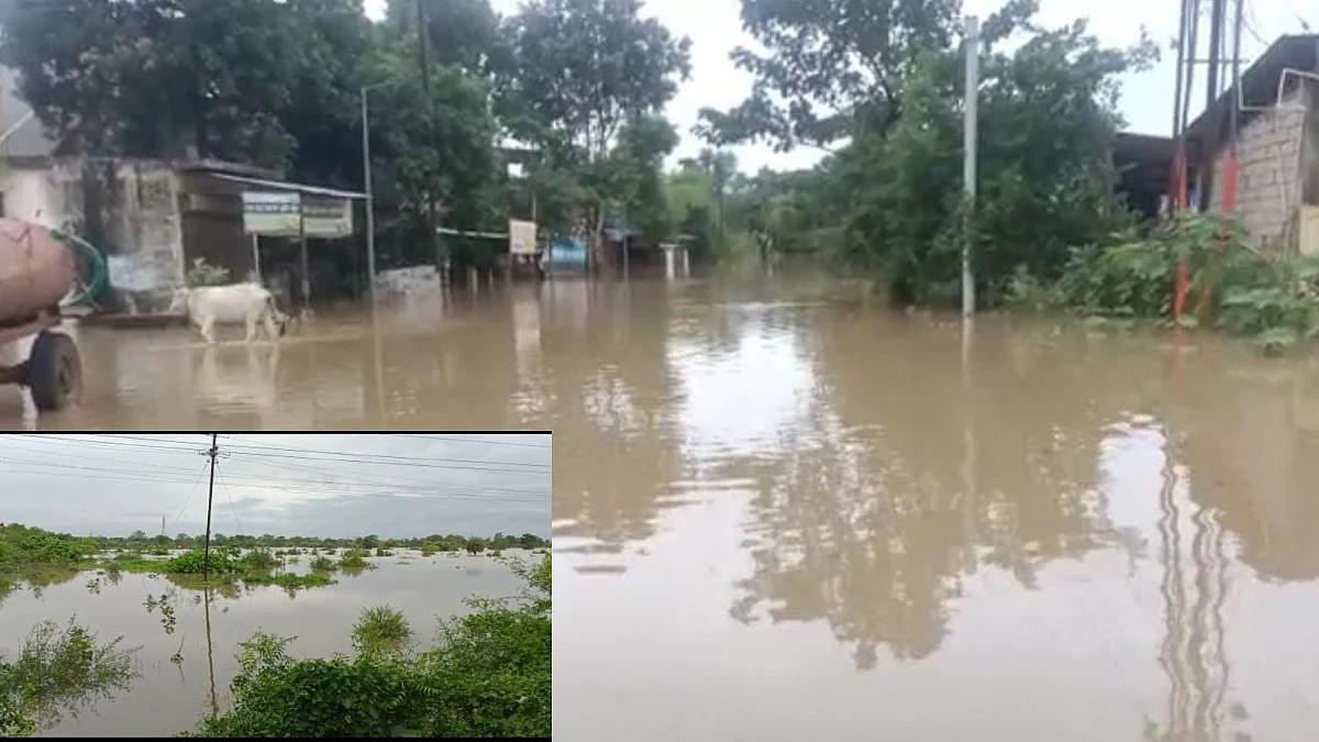 Wainganga River Flood News