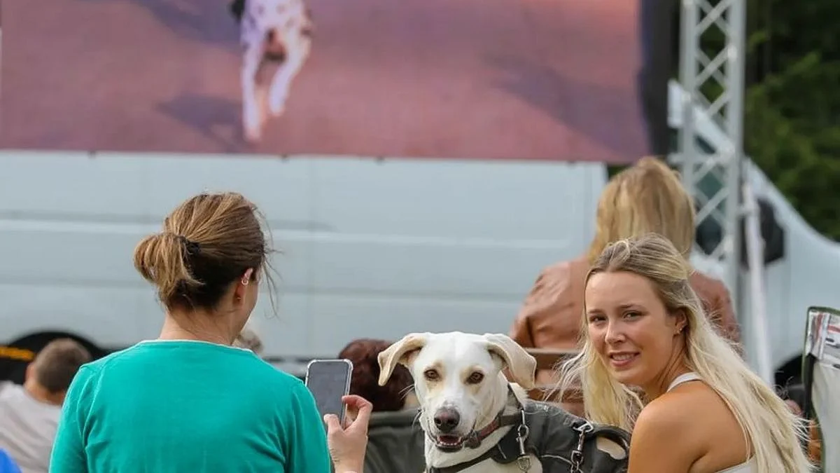 Britan Dog's Special Screening
