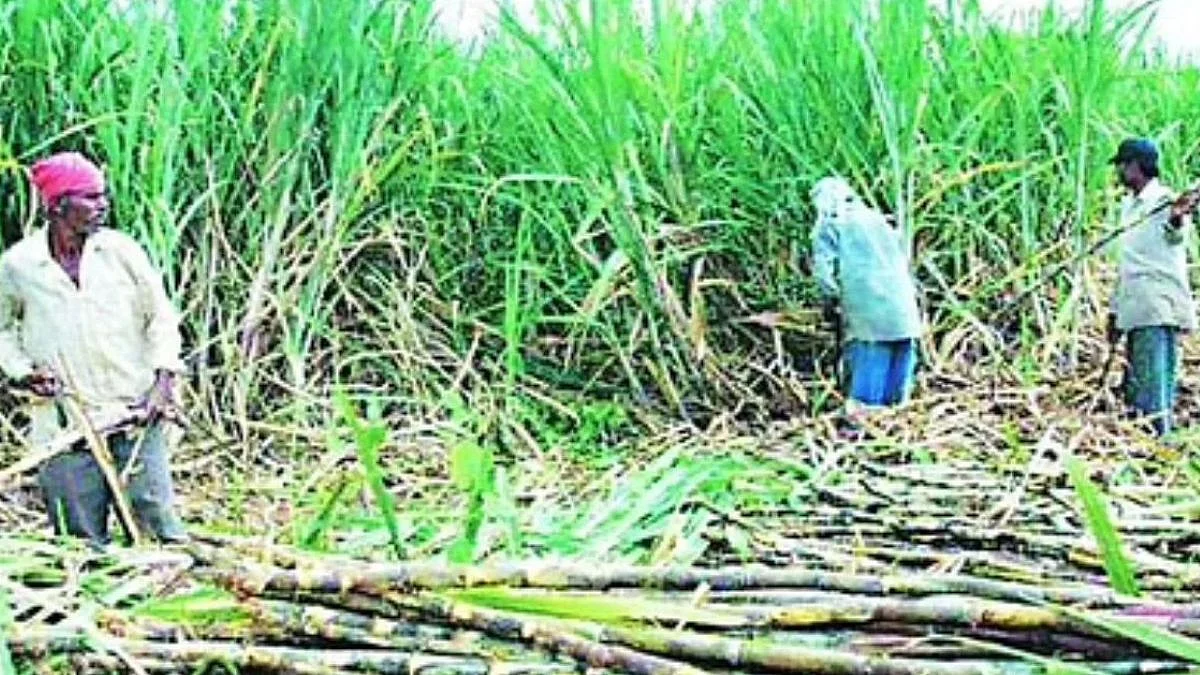 auranganad news