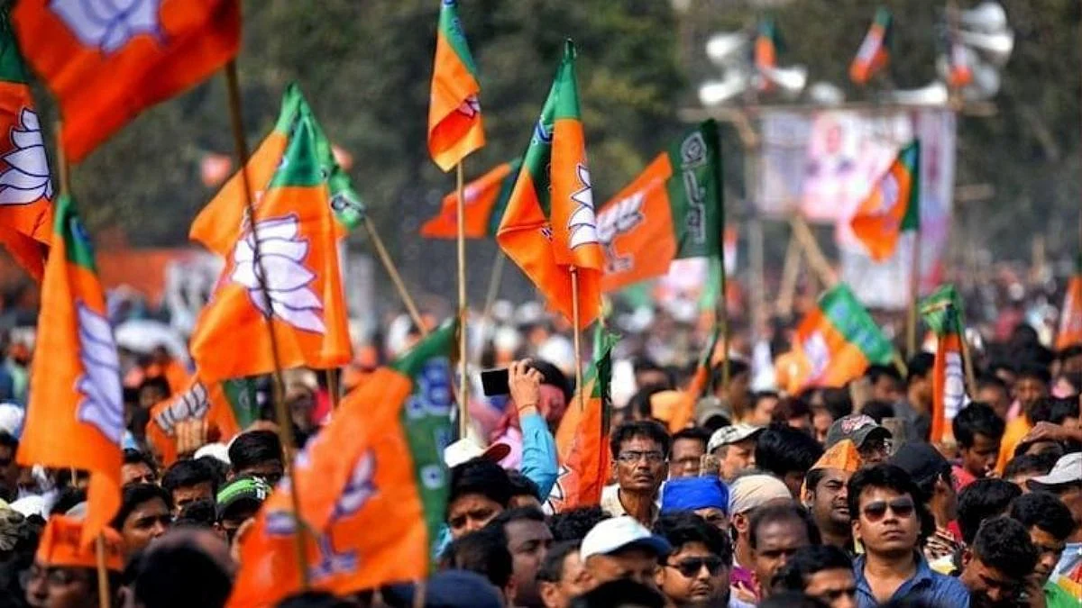 satara , gram panchayat election result , ncp , bjp