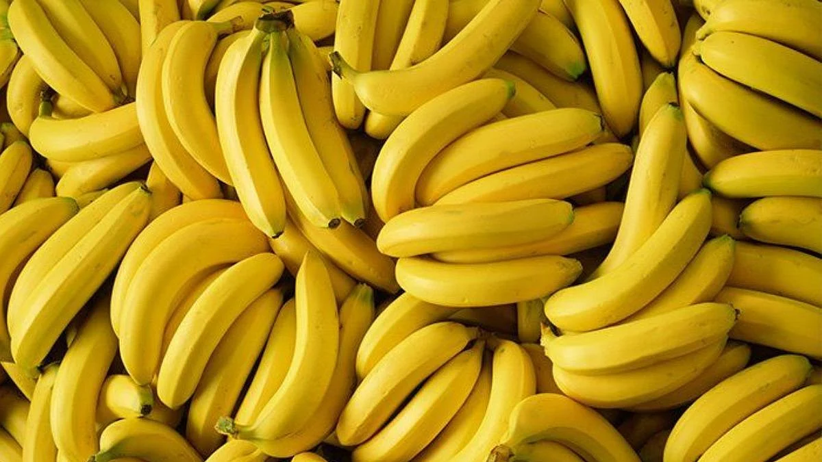 Banana Farmer