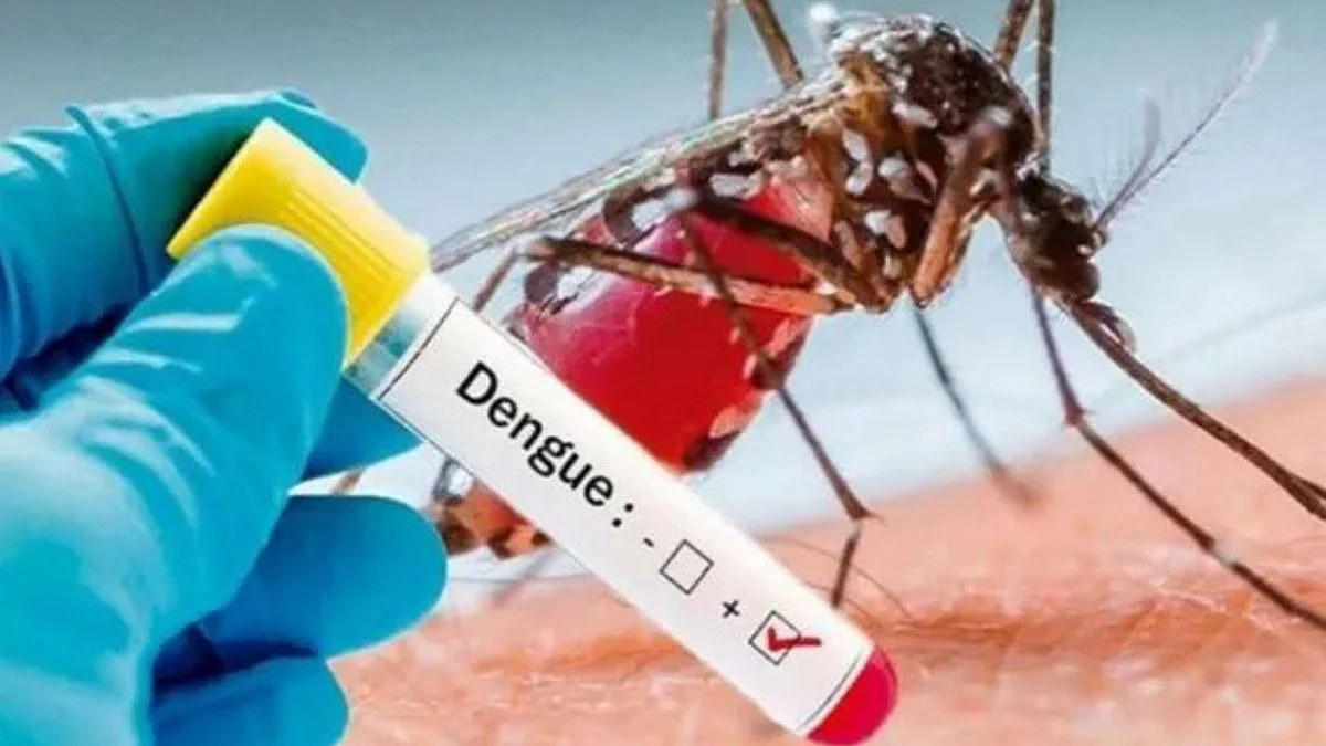 Dengue