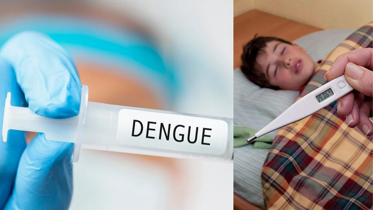 Dengue Fever