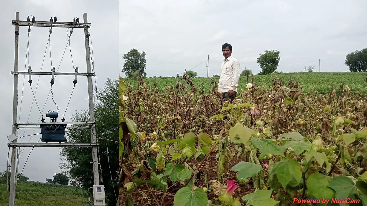 Jalgaon News Farmer