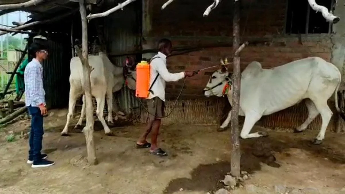 Wardha Lumpy Virus