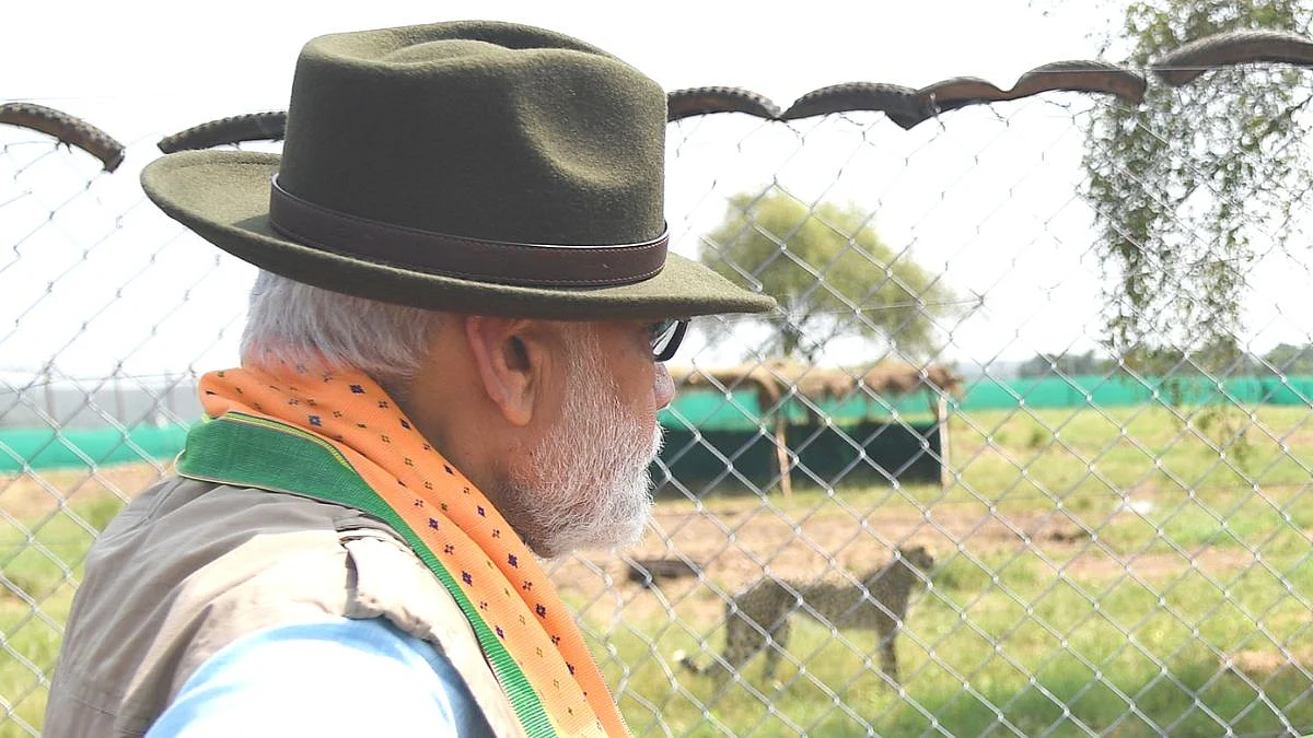 Congress Leaders Took jibe on PM Narendra Modi Over Cheetah Project /Twitter