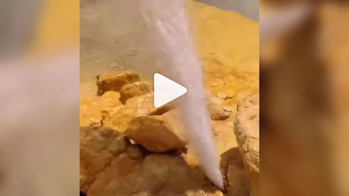 Viral News