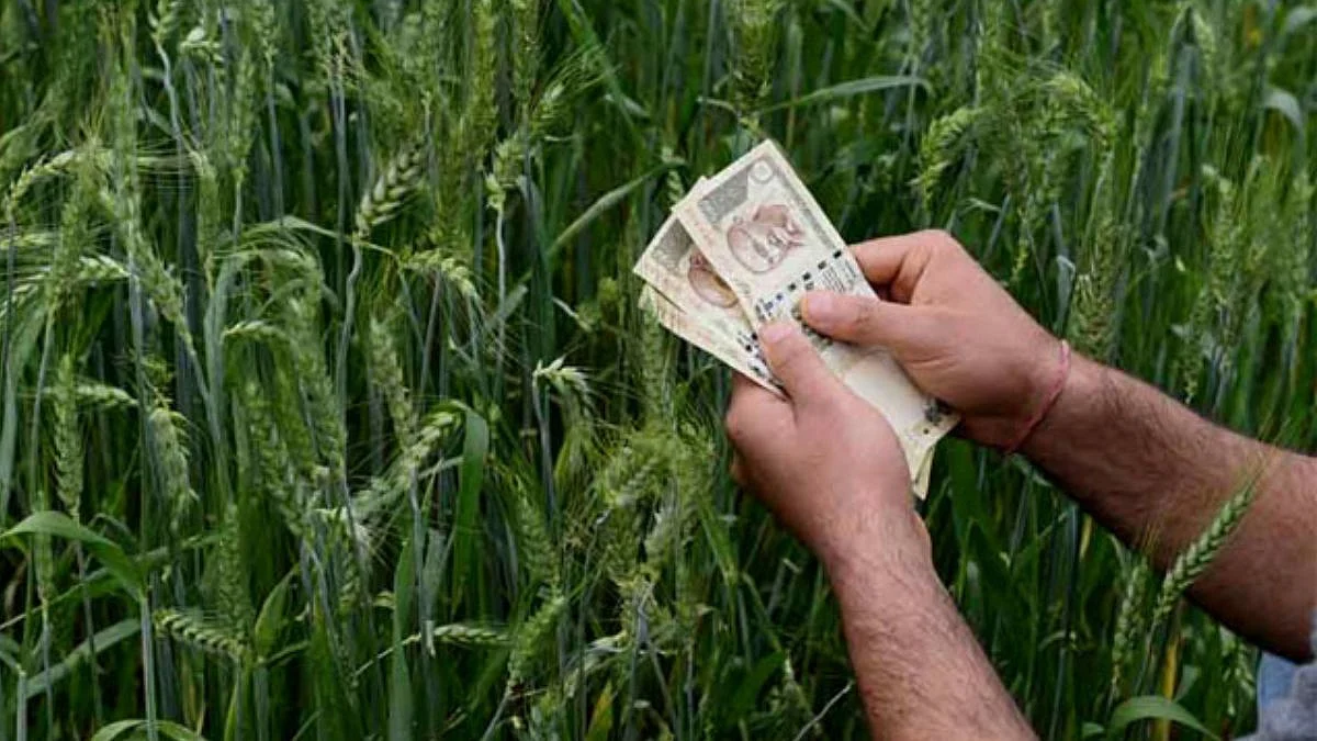 Farmer Loan