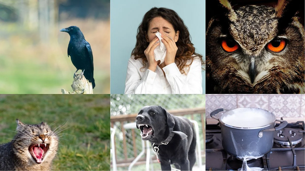 Unlucky Signs