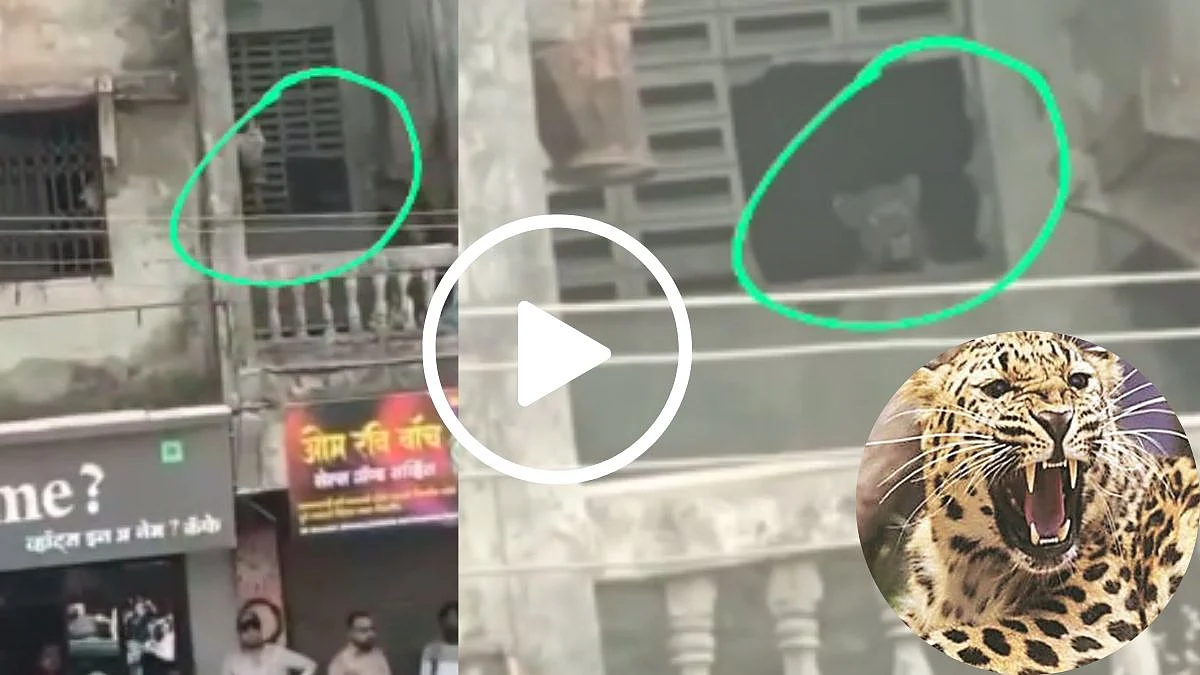 Leopard Attacks in Kolsewadi Kalyan