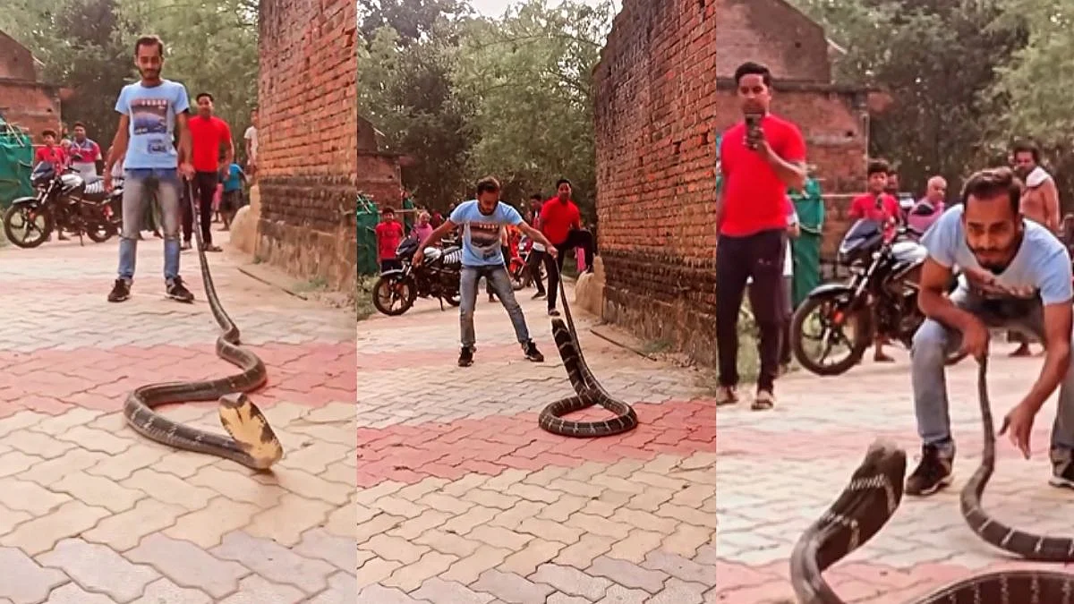 Viral Video
