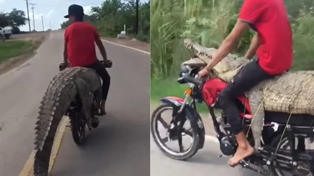 Viral Video