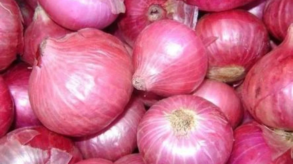 Solapur Bazar Samiti, Onion