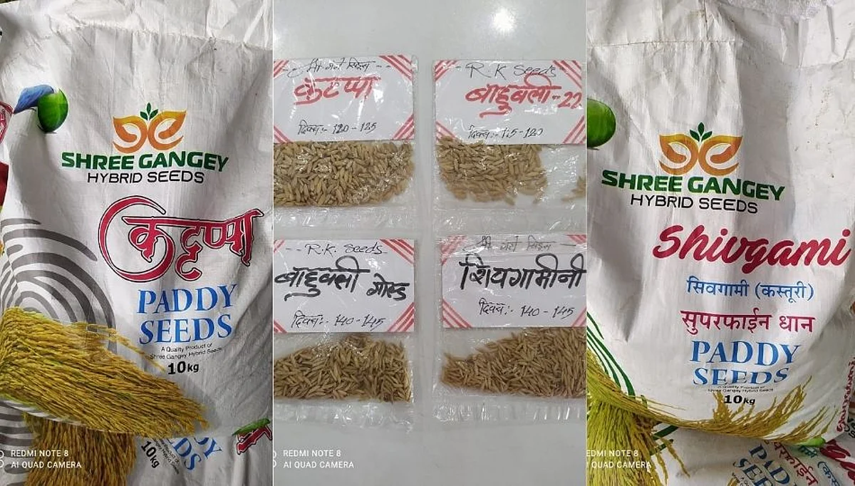 बाहुबली, कटप्पा व शिवगामीदेवी भंडाऱ्याच्या बाजारात