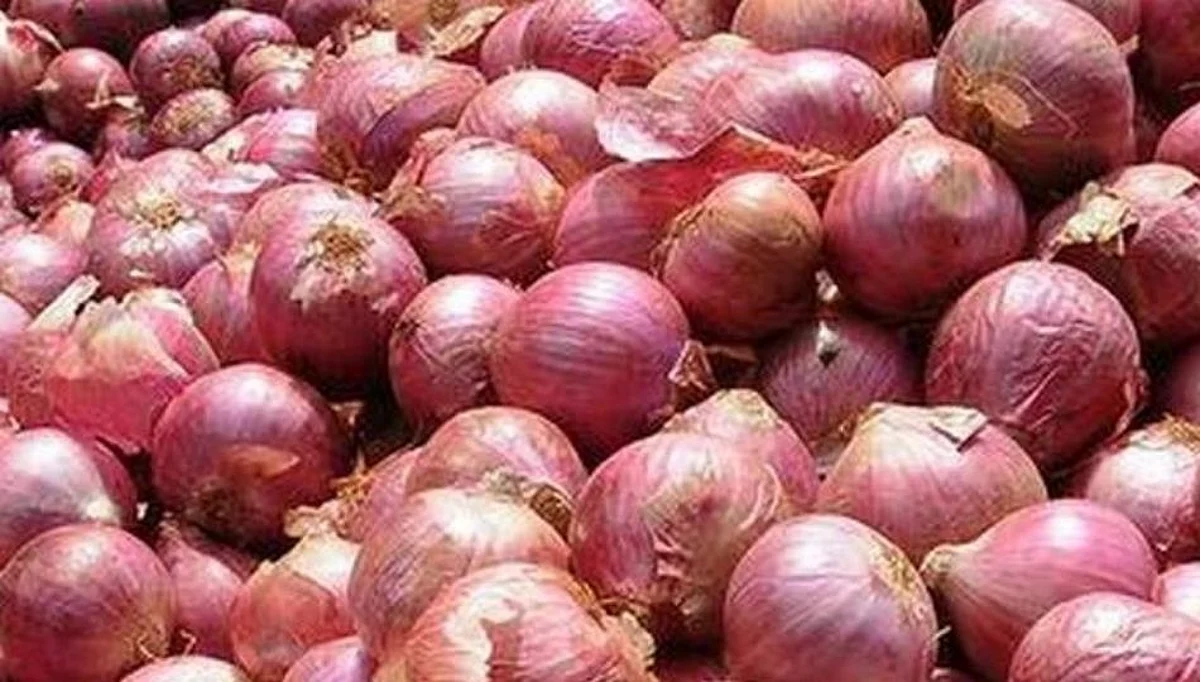 अज्ञाताने कांदा चाळ पेटवून दिली ; ५५ टन कांदा जळून खाक