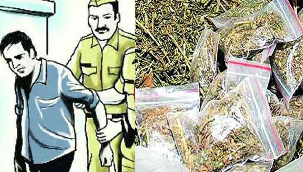 गोंदियात घरातून 8 लाख 40 हजार रूपयांच्या 70 किलो गांजा पकडला