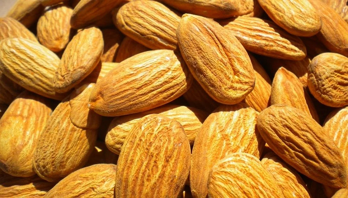 उन्हाळ्यात कोरडे बदाम का खाऊ नये? भिजलेले बदाम खाण्याचे ६ फायदे
