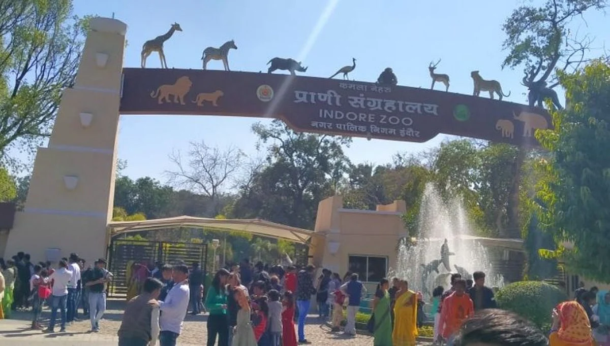 इंदूरच्या प्राणी संग्रहालयात साडेसतरा वर्षाच्या वाघाचा मृत्यू