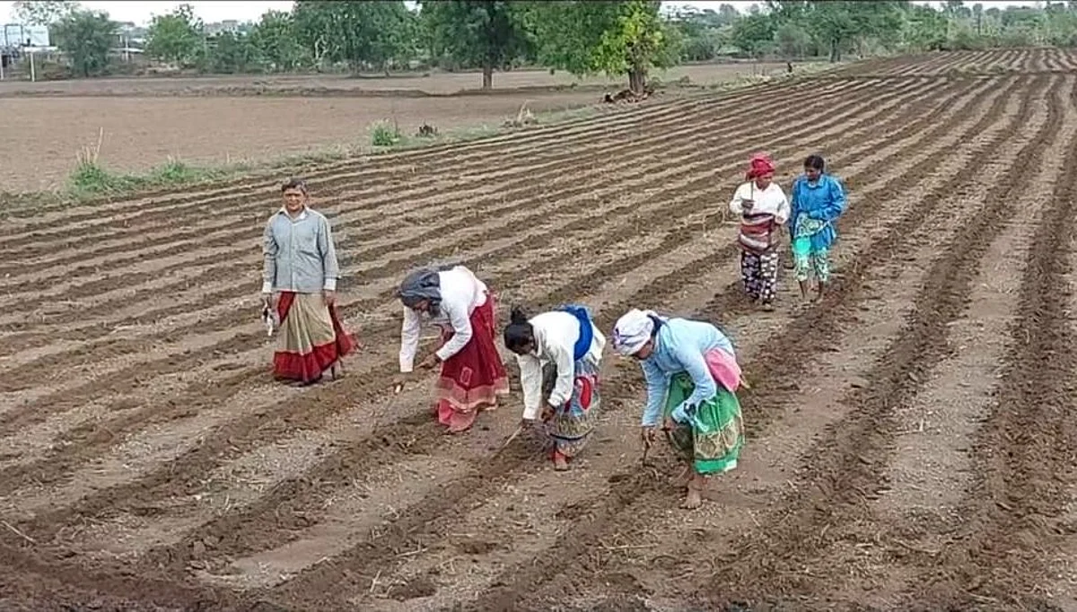 वर्ध्यात मृगाच्या पहिल्या पावसानंतर पेरणीला सुरुवात