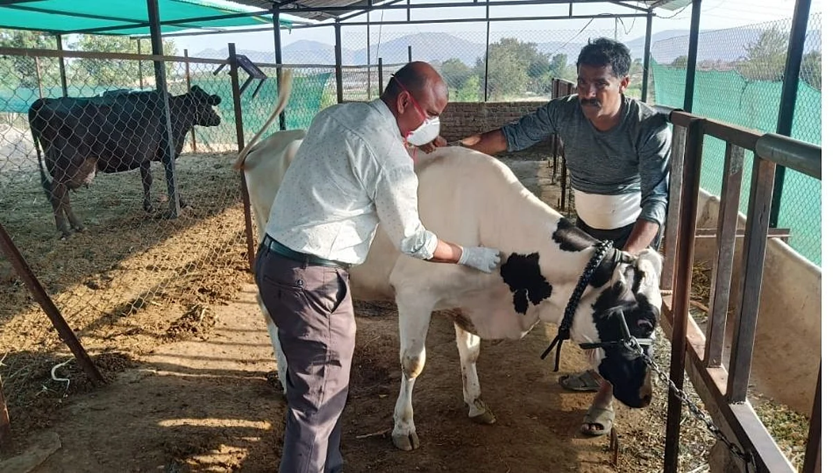 विविध मागण्यांसाठी पशुवैद्यकीय अधिकाऱ्यांचा आंदोलनाचा पावित्रा