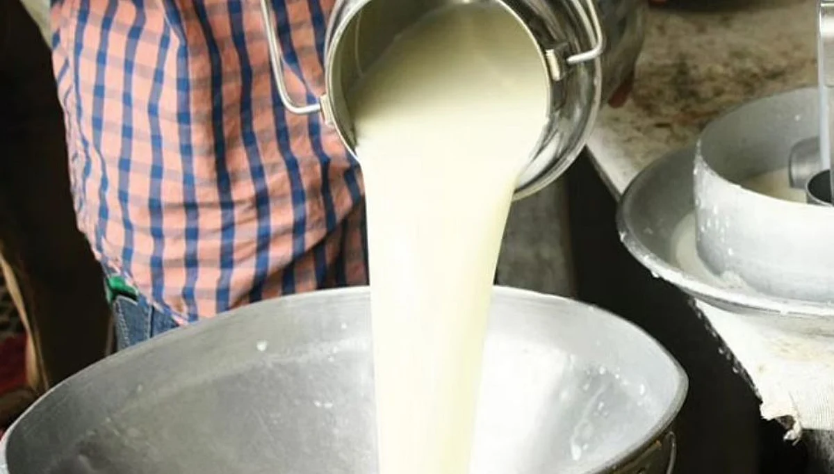 मावळातील शेतकरी विकतोय दिवसाला चारशे लिटर दूध..(पहा व्हिडिओ)