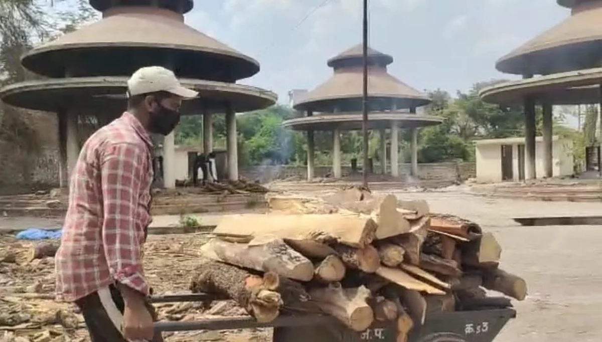 शवदाहीनी अभावी कोरोनात मोफत ऑक्सीजन देणाऱ्या तब्बल 2 हजार झाडांची कत्तल!