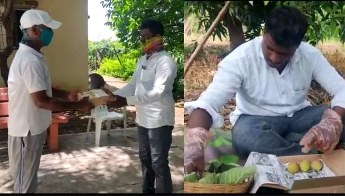 सोशल मीडियाचा असाही उपयोग!; फेसबुकवरून विकलं 2 टन अंजीर