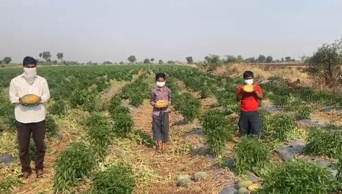 पुण्यात भर उन्हाळ्यात वादळी वाऱ्यासह पाऊसाच्या सरी, शेतीचे मोठे नुकसान
